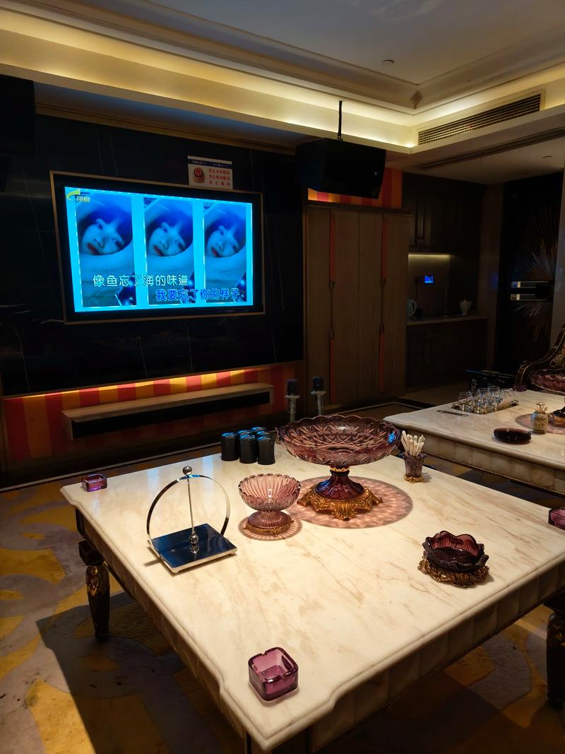 新乡商务ktv，夜场璀璨宣传-红旗区ktv预定